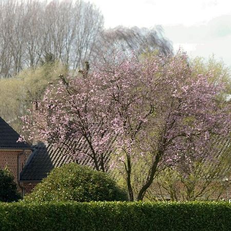 Herne De Rankhove Bed & Breakfast エクステリア 写真