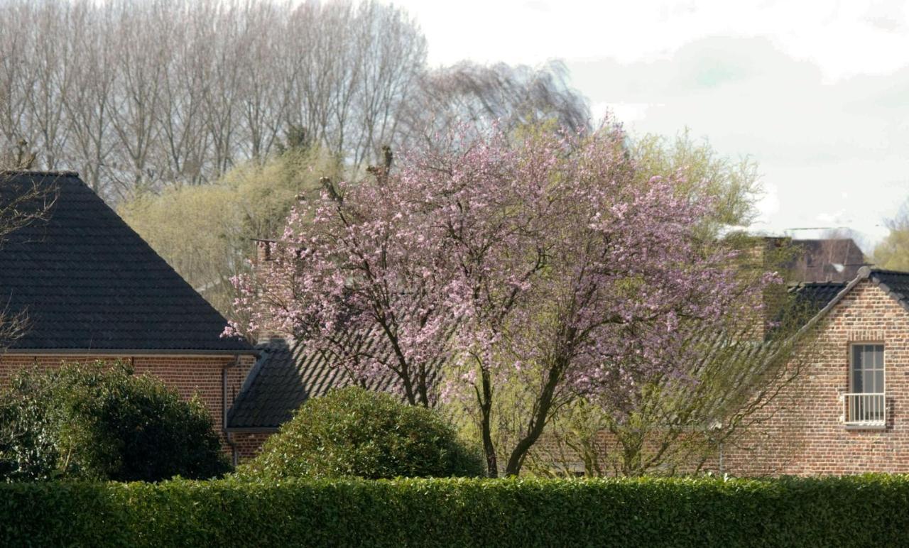 Herne De Rankhove Bed & Breakfast エクステリア 写真
